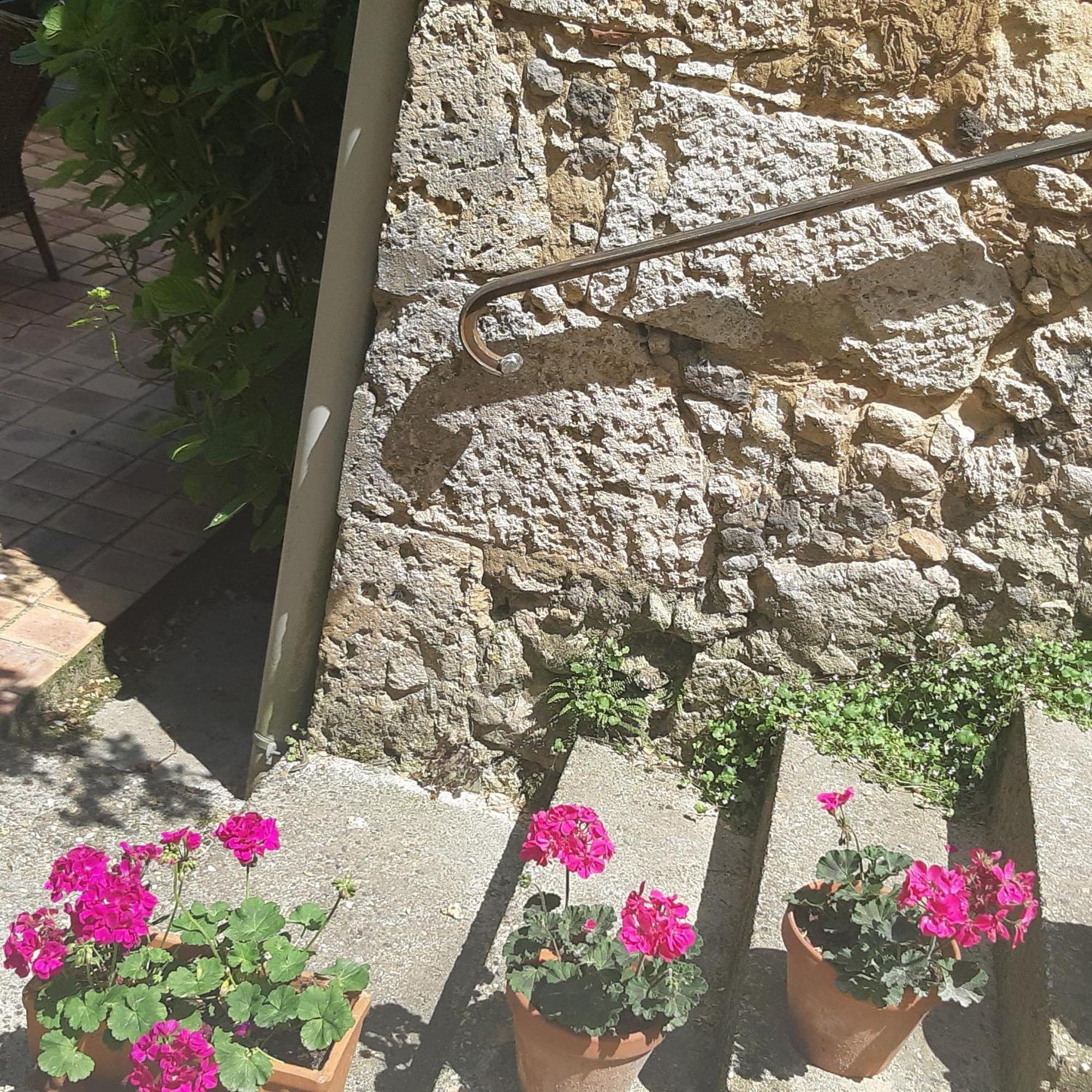 La Maison 64 Chambre D'Hôtes Barbaste Exterior foto